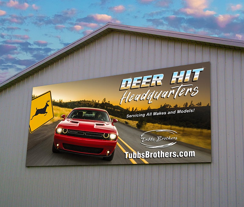Deer Hit Headquarters