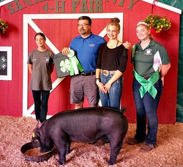 4-H Pig